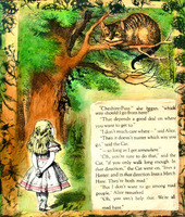 ©2023 JACKIE STANTON