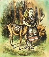 ©2023 JACKIE STANTON