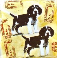 ©2023 JACKIE STANTON